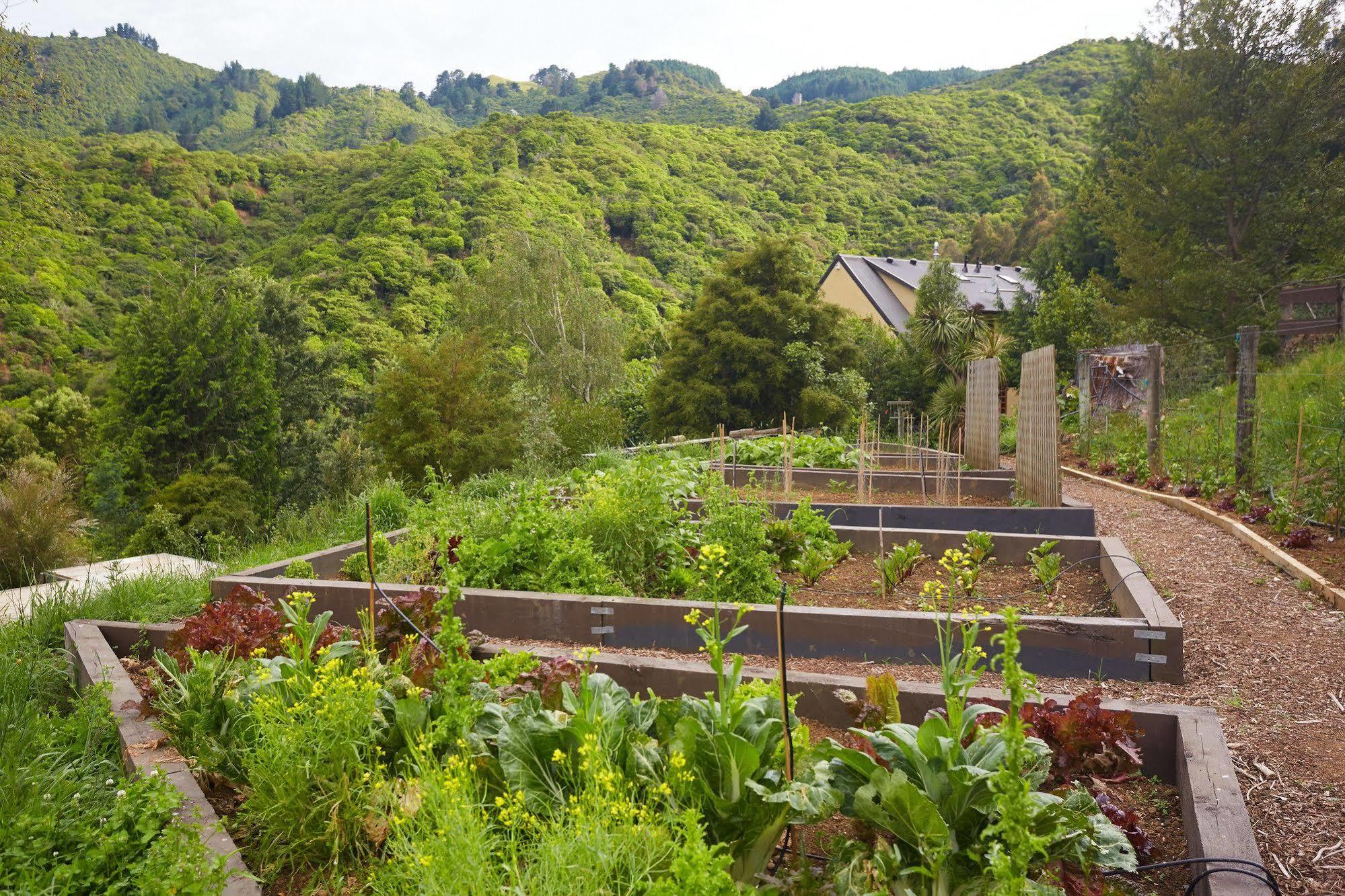The Resurgence Villa Motueka Exterior photo